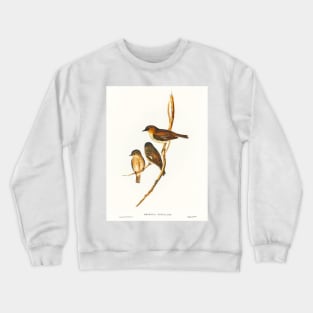 Dusky Robin (Petroica fusca) Crewneck Sweatshirt